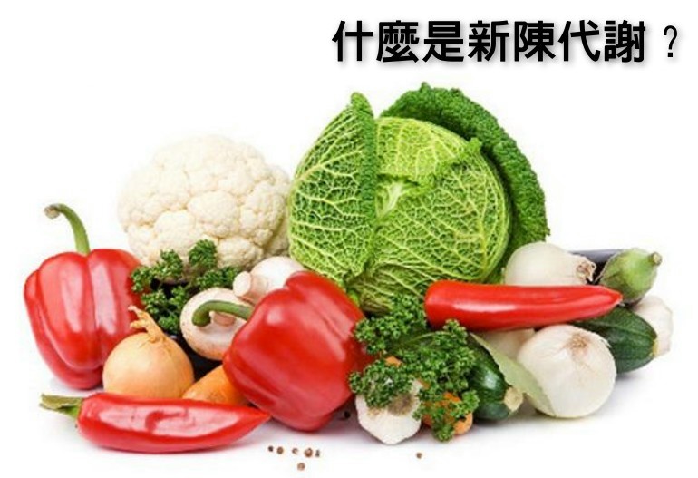什麼是新陳代謝？