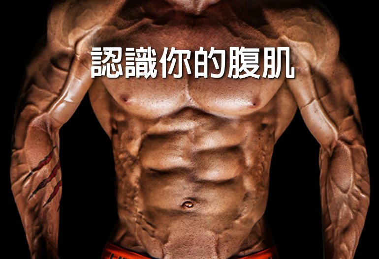 認識你的腹肌