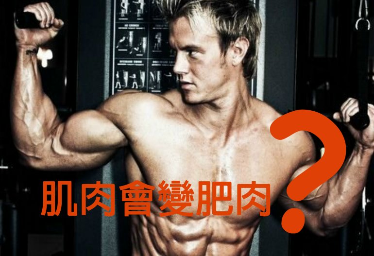 當你不再重量訓練，肌肉會變成肥肉？