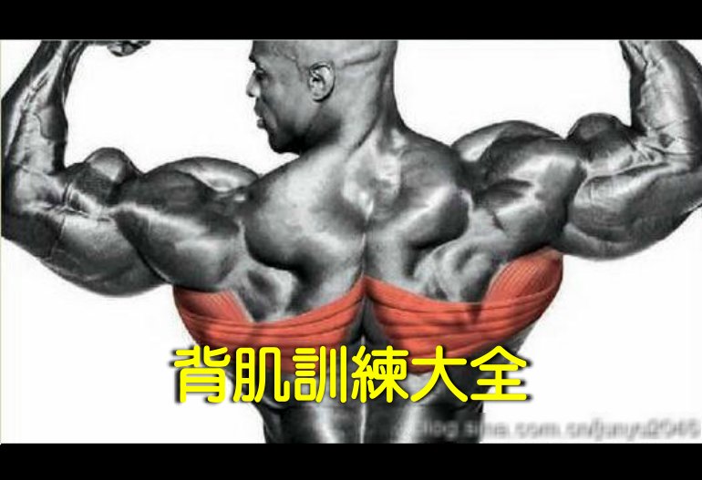 背肌訓練大全