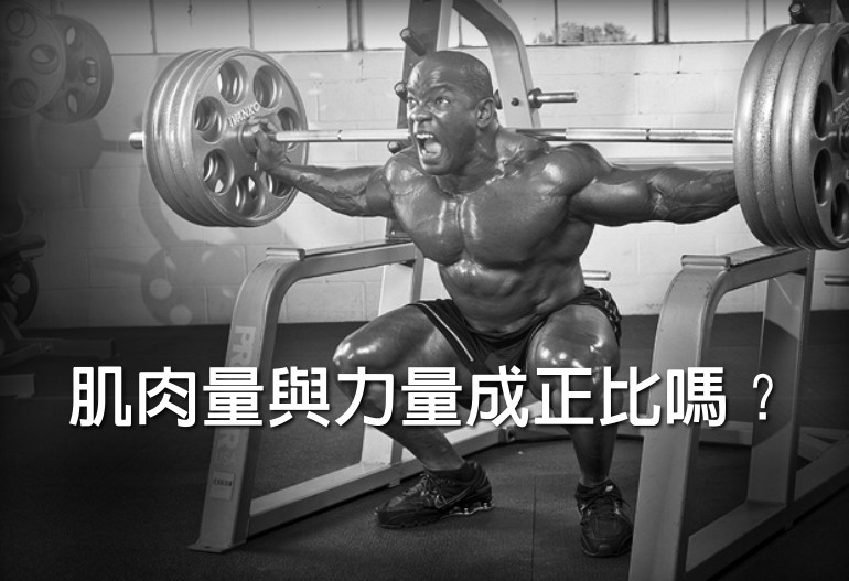 肌肉量與力量成正比嗎？