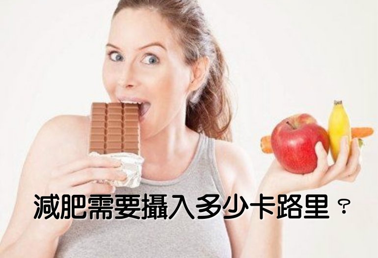 減肥需要攝入多少卡路里？