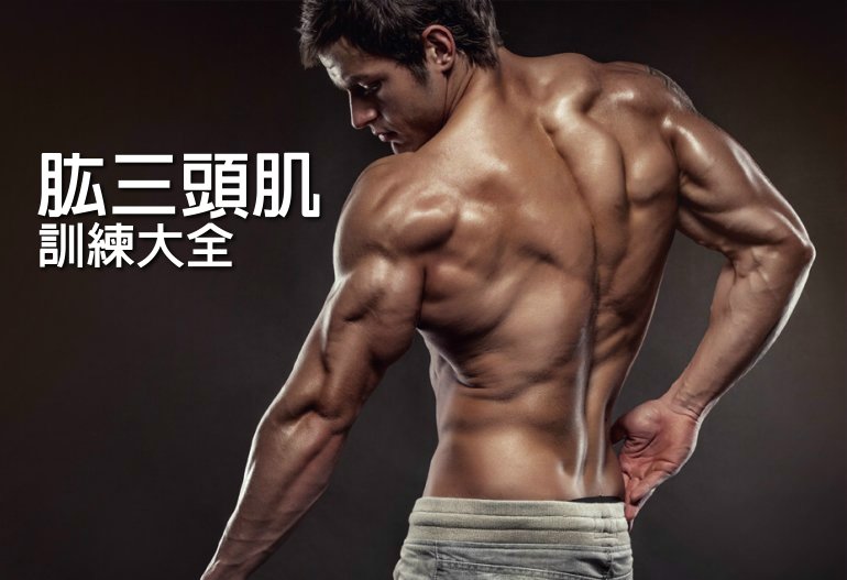 肱三頭肌訓練大全