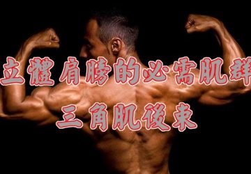 立體肩膀的必需肌群，三角肌後束。