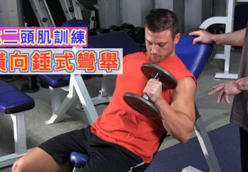 肱二頭肌訓練：橫向錘式彎舉！