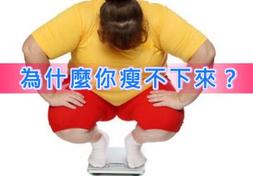 為什麼你瘦不下來？