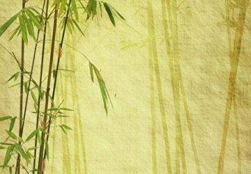 常仔正傳（18）